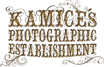 Kamice's Photographic Establishment